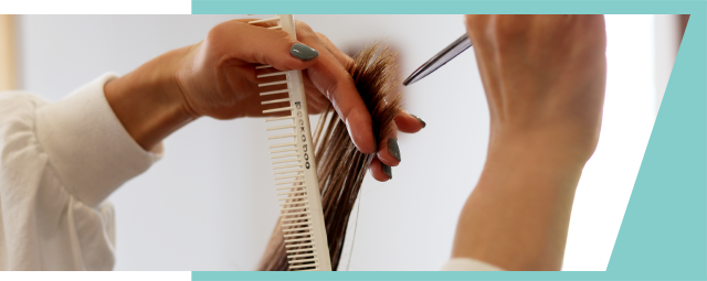 hairTREEについて